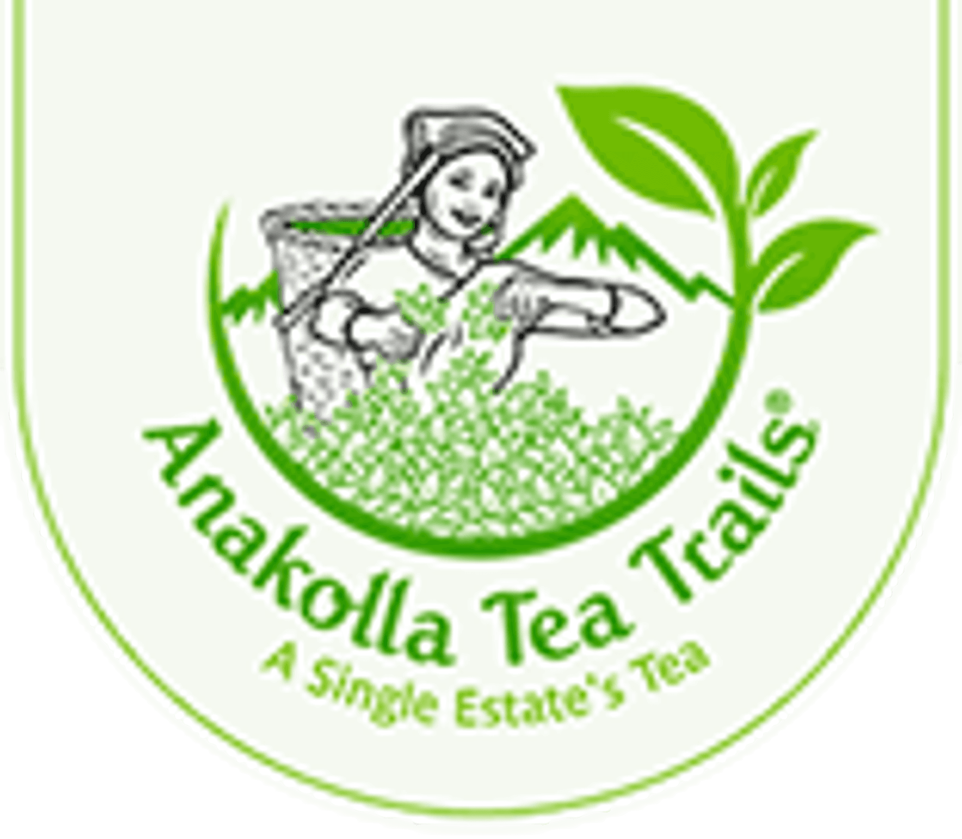 Ceylon Tea Partner