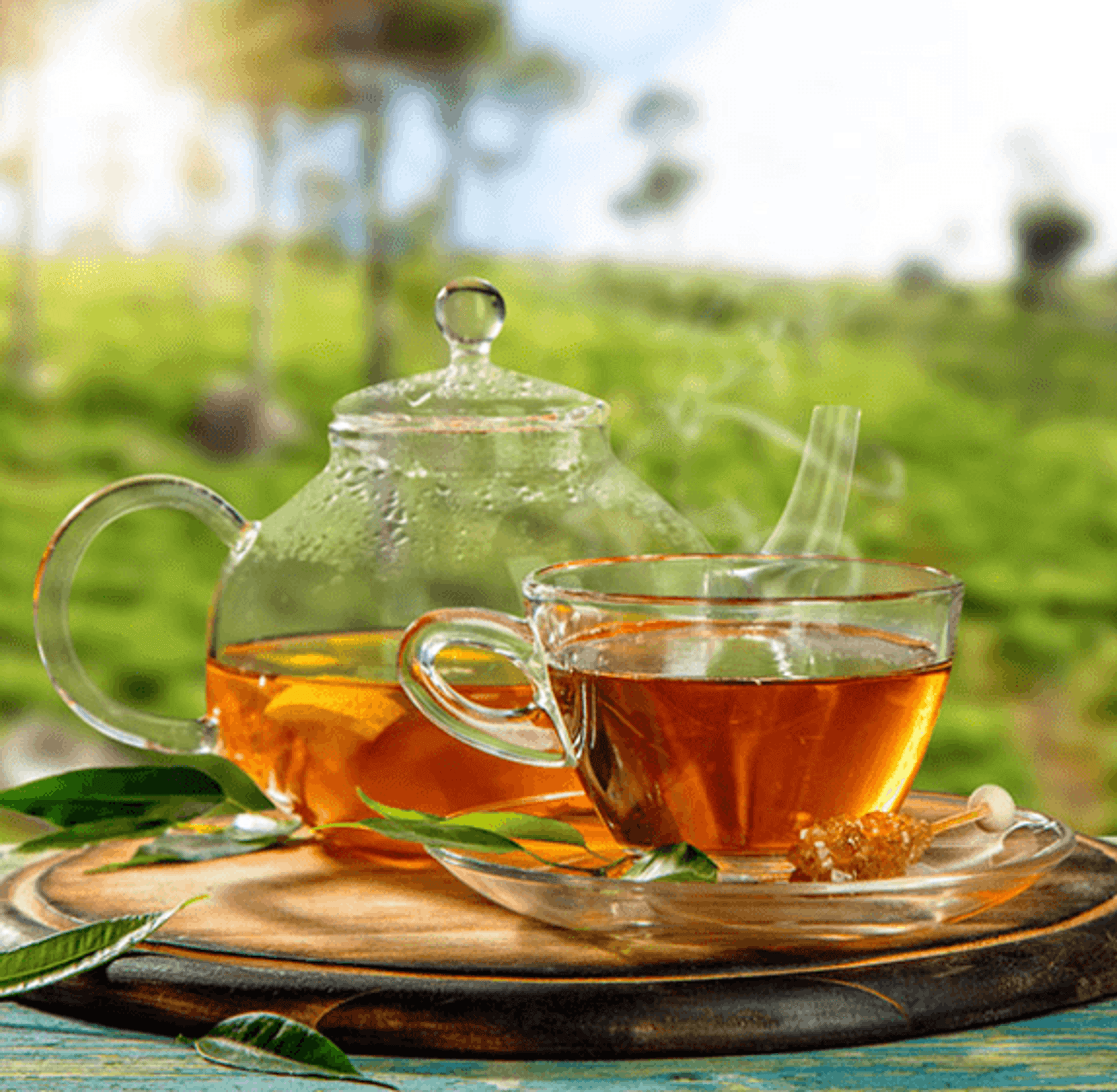 Herbal Tea