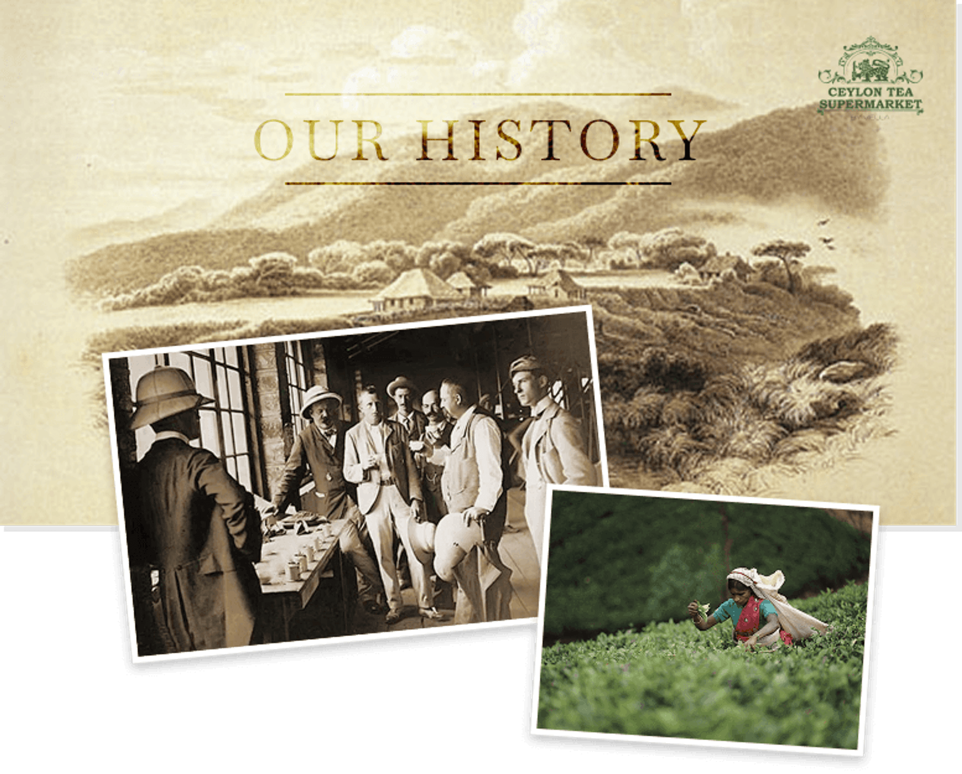 Halpe tea's history