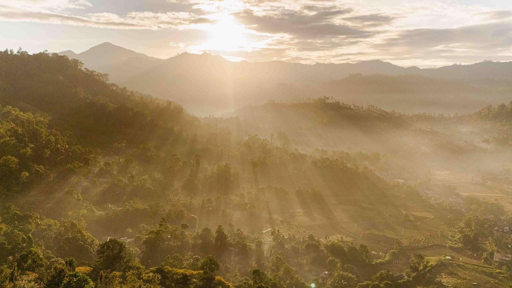 Misty sunrise over lush green mountain valley