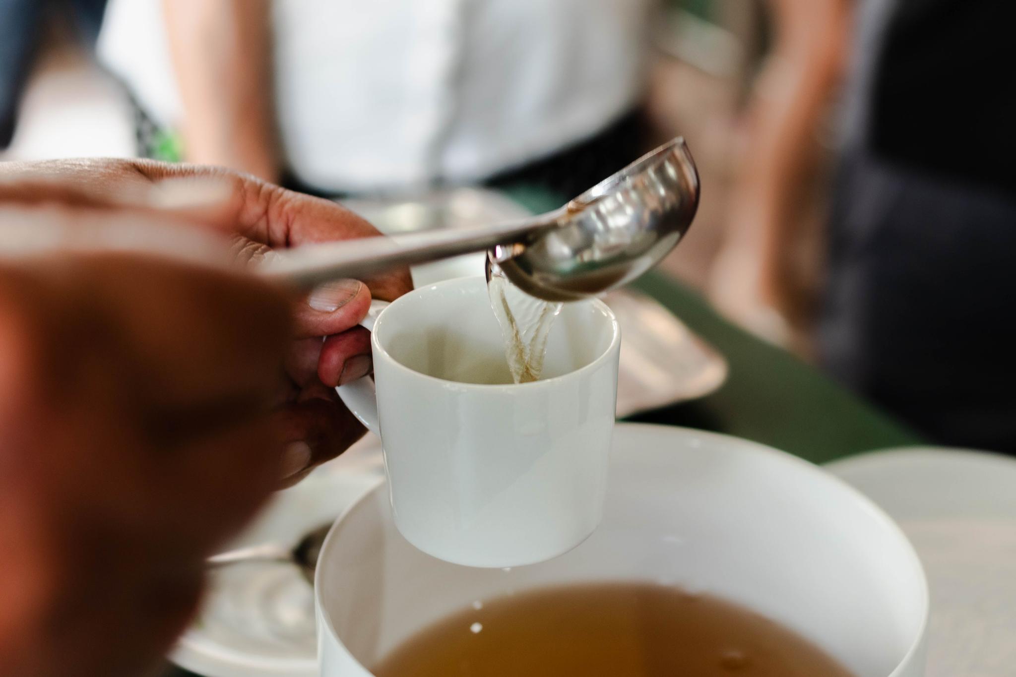 Tea Tasting